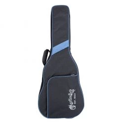 Martin DX2E - 12 String Acoustic