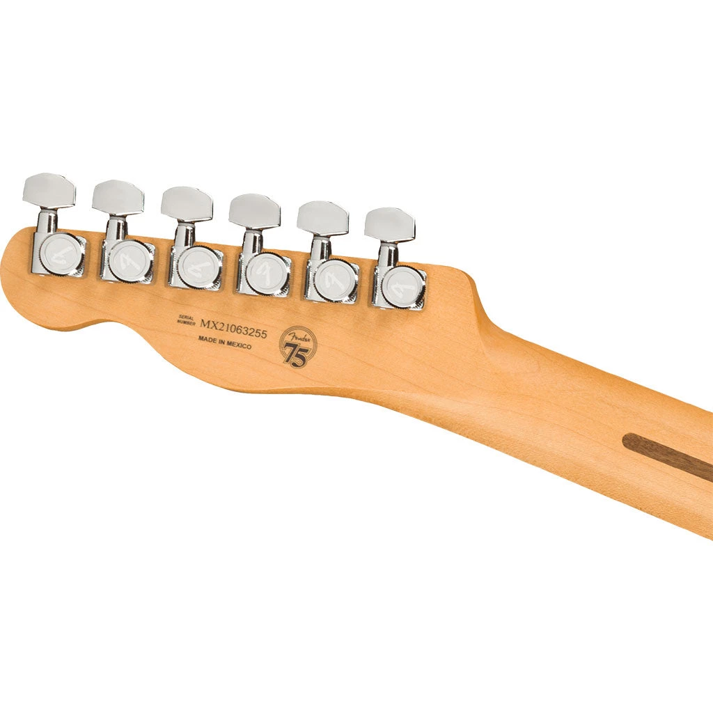 Fender - Player Plus Nashville TelecasterĀ®, Pau Ferro Fingerboard - Opal Spark