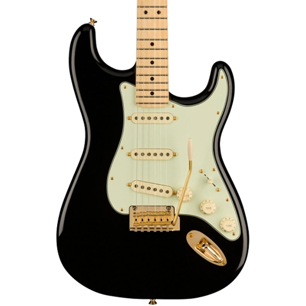 Fender Limited Edition Player Stratocaster Maple Neck Gold Hardware - Black