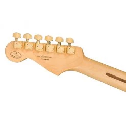 Fender Limited Edition Player Stratocaster Maple Neck Gold Hardware - Black