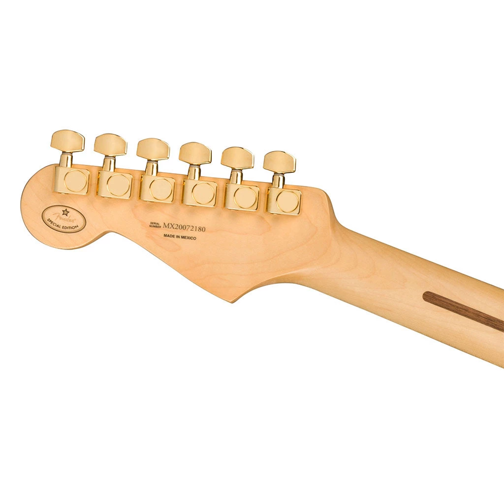 Fender Limited Edition Player Stratocaster Maple Neck Gold Hardware - Black