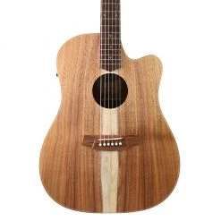 Cole Clark Fat Lady 2 FL2EC - All Blackwood Acoustic Guitars