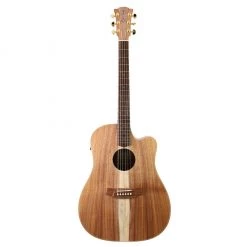 Cole Clark Fat Lady 2 FL2EC - All Blackwood Acoustic Guitars