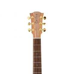 Cole Clark Fat Lady 2 FL2EC - All Blackwood Acoustic Guitars