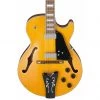Ibanez GB10EM AA George Benson Signature Electric Guitars