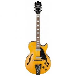 Ibanez GB10EM AA George Benson Signature Electric Guitars