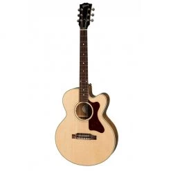 Gibson Parlour AG - Antique Natural Acoustic Guitars