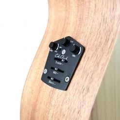 Acoustic Guitars Cole Clark Angel AN1EC - Bunya Blackwood - Humbucker