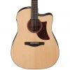Ibanez AAD170CE Acoustic Guitar
