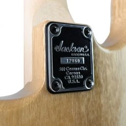 Jackson Custom Shop - Joe Williams Masterbuilt SD22 HS - Korina Electric Guitars