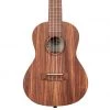 Kala Concert Ukulele - Teak Ukuleles