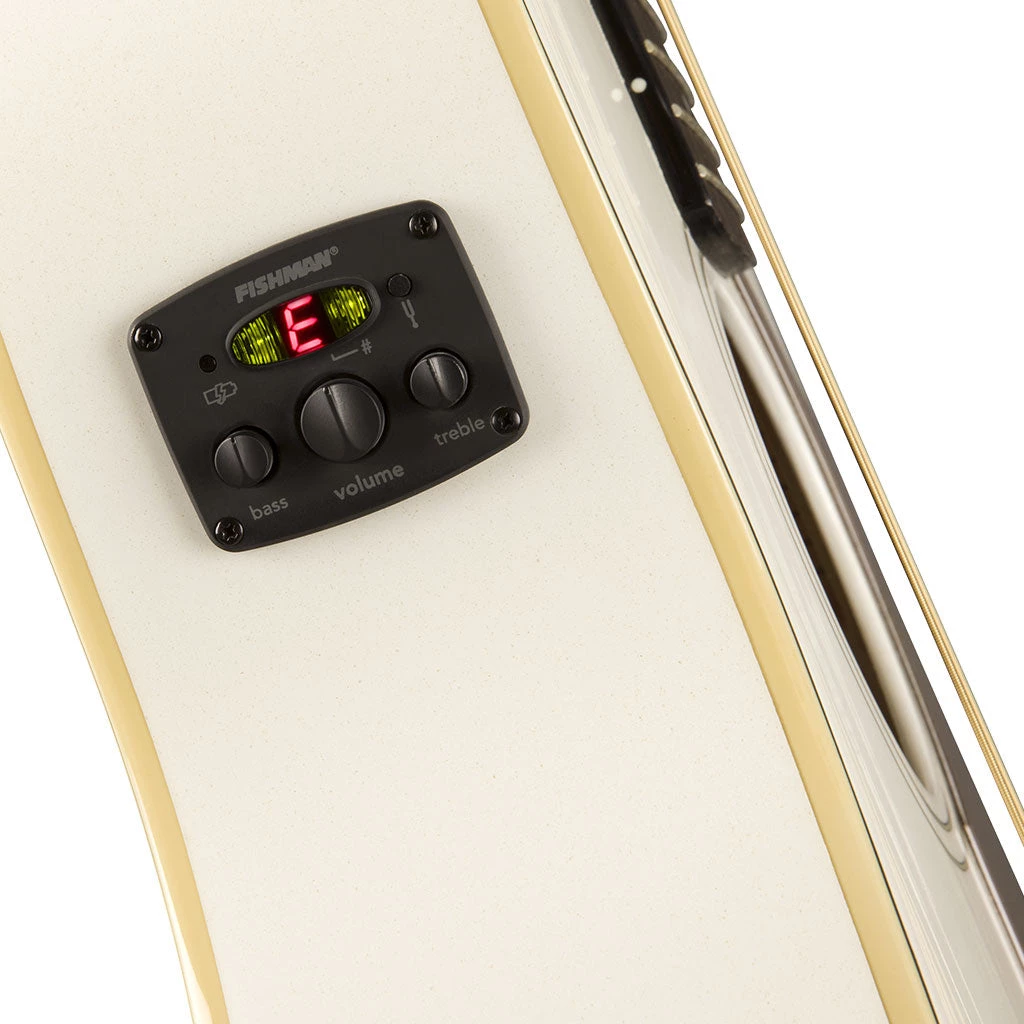 Acoustic Guitars Fender Malibu Player - Arctic Gold