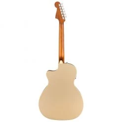 Fender Newporter Player - Champagne Acoustic Guitars