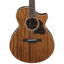 Ibanez AE245 Acoustic Guitar
