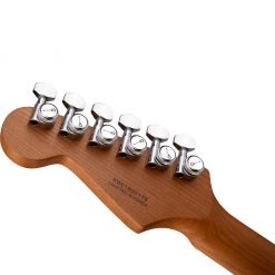 Electric Guitars Charvel Pro-Mod DK24 HSS 2PT CM Ash - Red Ash