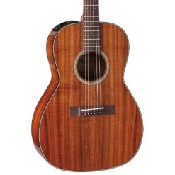 Takamine Legacy Series New Yorker Acoustic Guitars
