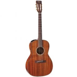 Takamine Legacy Series New Yorker Acoustic Guitars