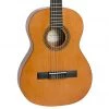 Acoustic Guitars Valencia 200 Series 3/4 Hybrid