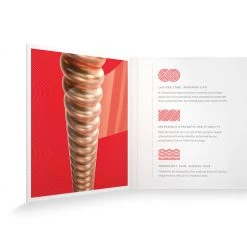 Guitar & Bass Strings D'Addario XS Phosphor Bronze Acoustic Guitar Strings - 13-56